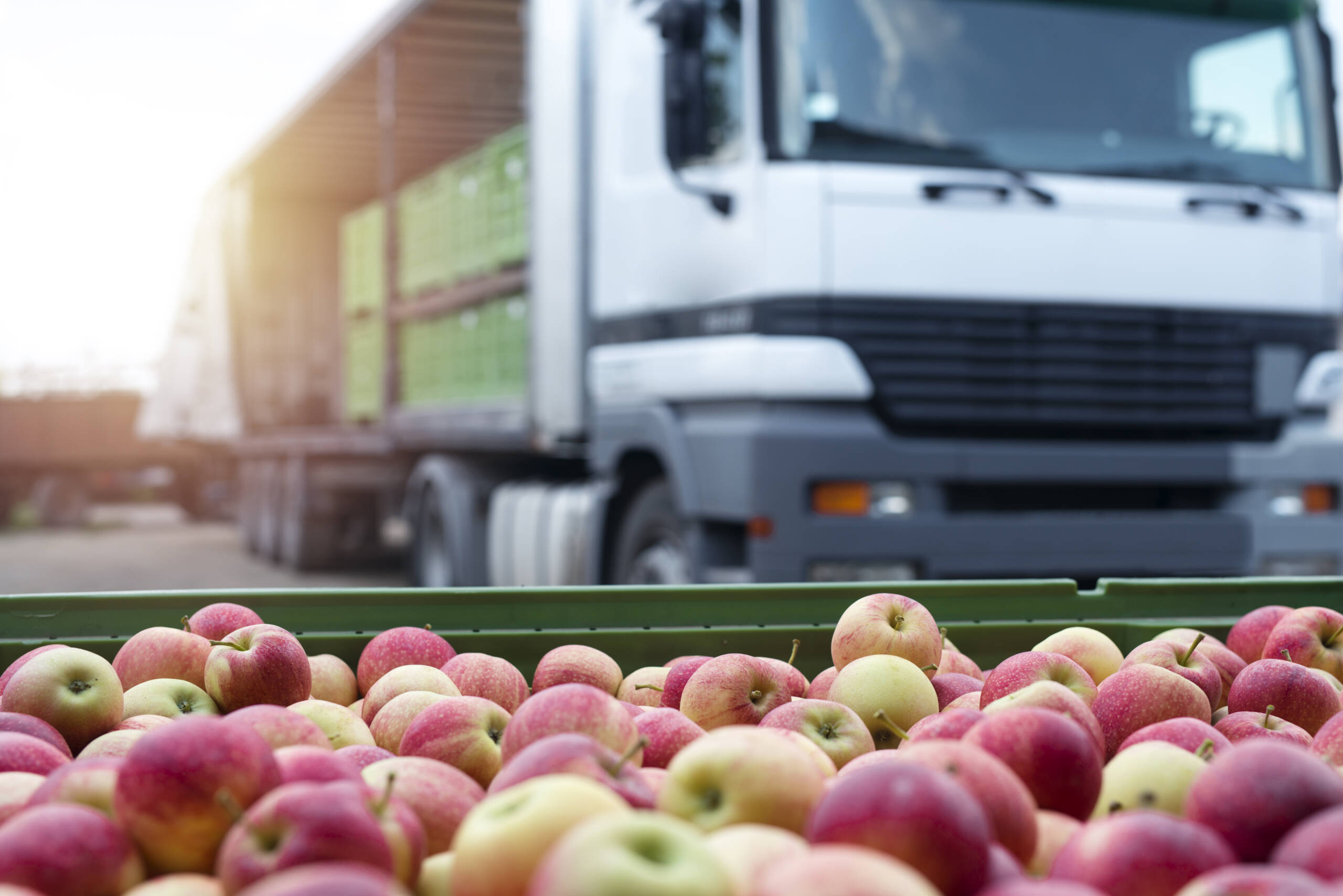 Transporte de Alimentos e Bebidas
