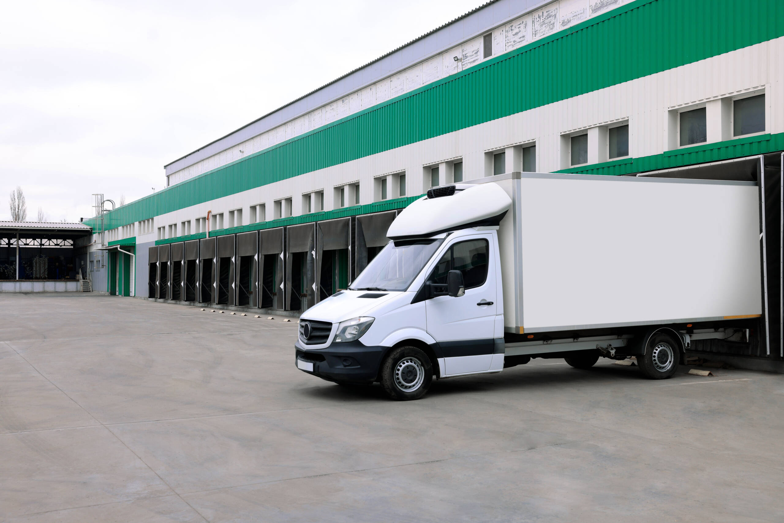Alimentos refrigerados (caso aplicável)