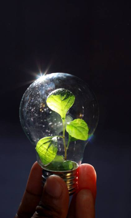 sustentabilidade